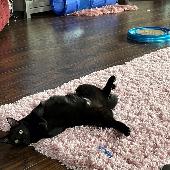 Meet your Posher, Barbara - Picture 9 of 16